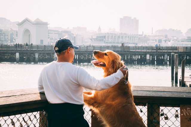 Owner standing with his Labrador retriever
