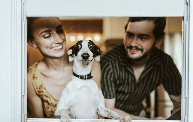 Couple with their Jack Russell terrier